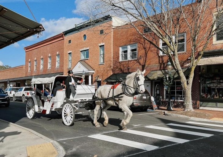 Free Carriage Rides in Berlin