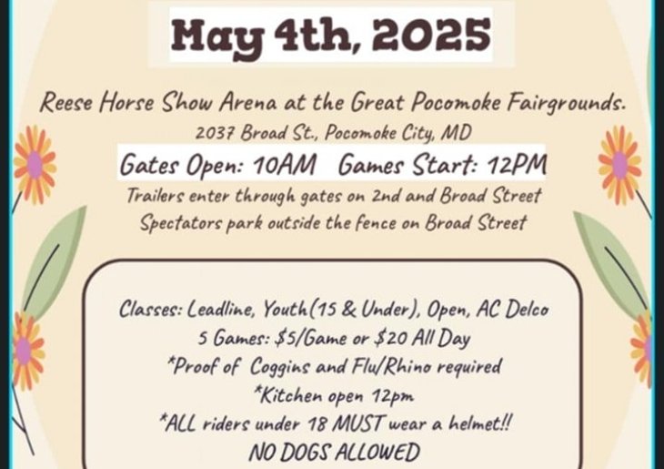 Rags to Riches Horse and Pony Show