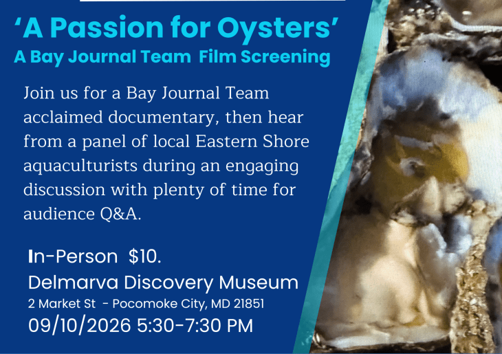 Sip of Science 'A Passion for Oysters'