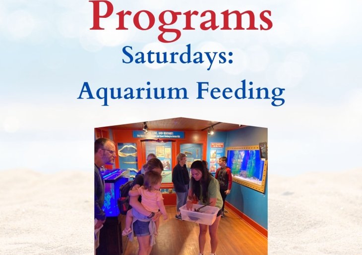 Aquarium Feeding - Free Summer Program at OCLSSM