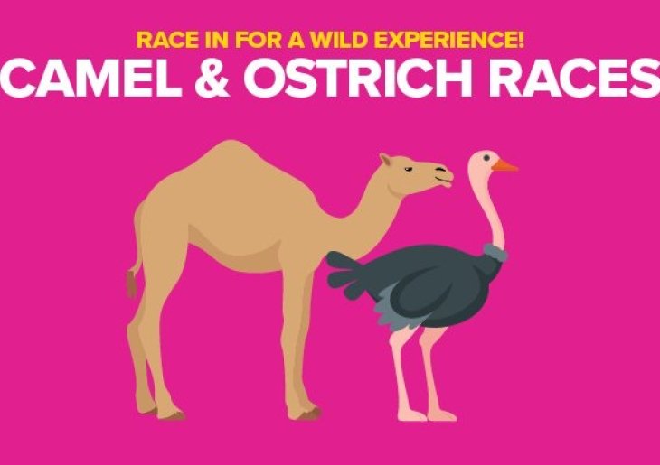 Camel and Ostrich Races
