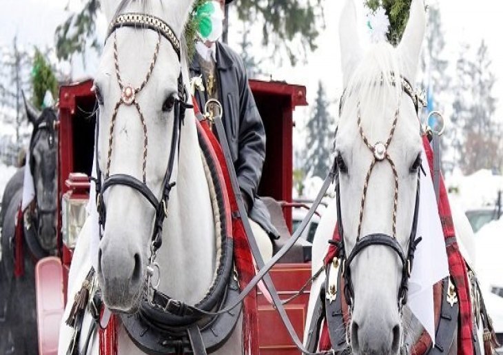 Free Horse and Carriage Rides In Historic Berlin MD