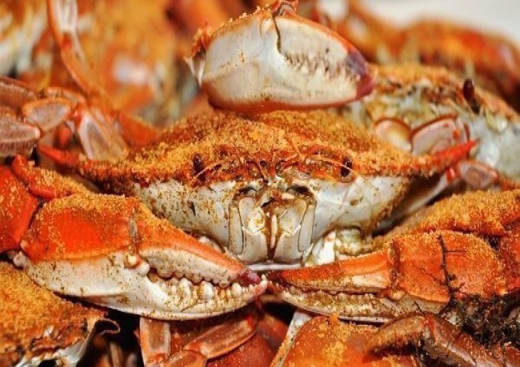 Ocean City Seafood Festival