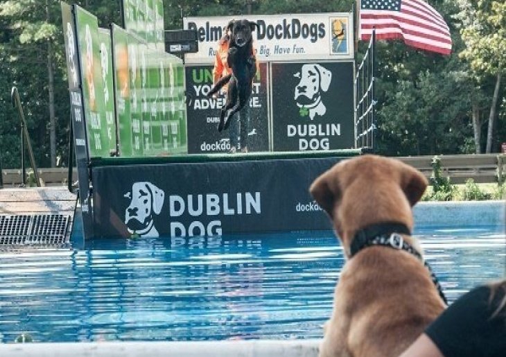 Pooch Palooza Dog Festival