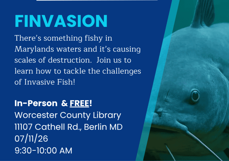 ACT Sip of Science Series - 'FINVASION"