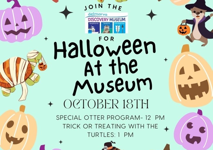 Halloween at the Museum