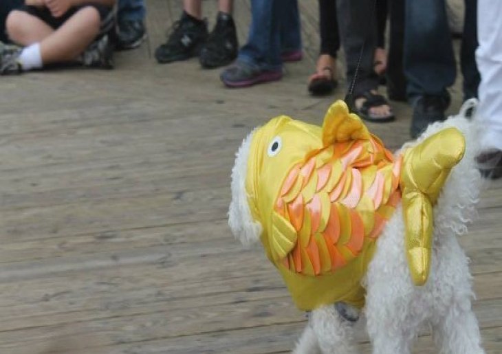 OCtoberfest Howl-O-Ween Pet Parade