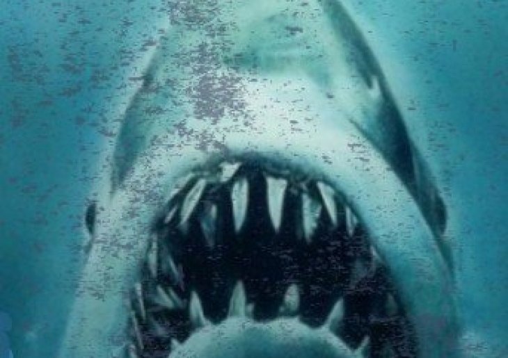 Jaws at Public Landing Beach
