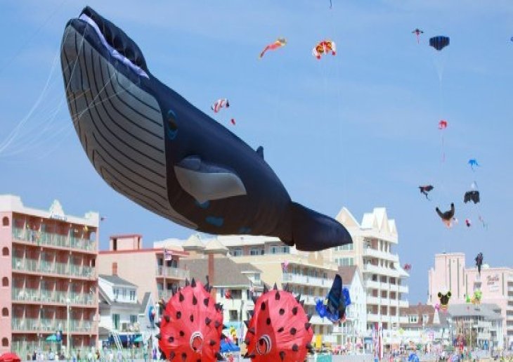 Maryland International Kite Festival