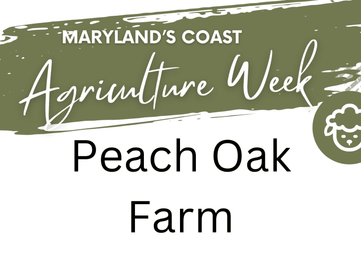 Peach Oak Farm - STEAM Program