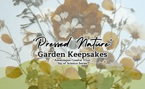 'Pressed Nature' - Garden Keepsakes