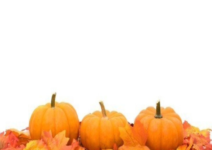 Berlin Pumpkin Scavenger Hunt