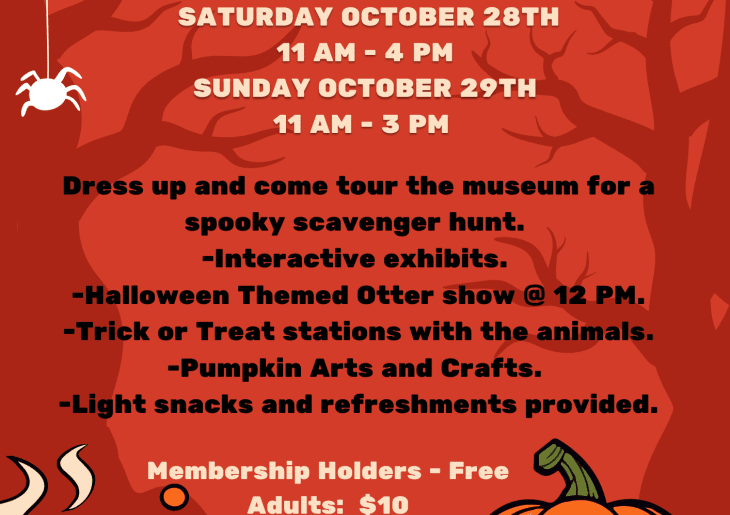 Otterly Spooky! Halloween at the Museum!