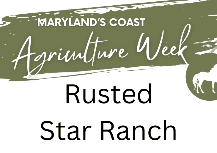 Rusted Star Ranch - Open House