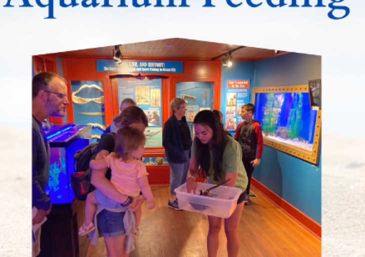 Aquarium Feeding at Ocean City Life-Saving Station Museum