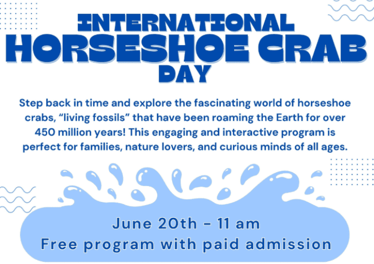 International Horseshoe Crab Day