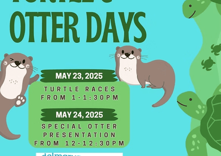 World Turtle Day Celebration