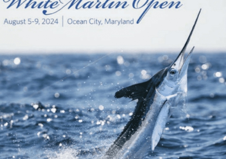 52nd Annual White Marlin Open & MarlinFest 2025