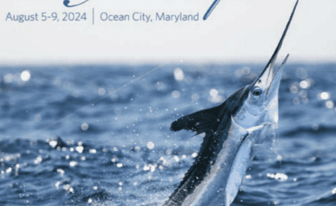 52nd Annual White Marlin Open & MarlinFest 2025