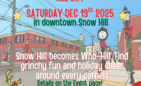 Who-Hill - The Grinch in Snow Hill