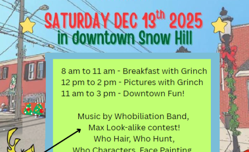 Who-Hill - The Grinch in Snow Hill