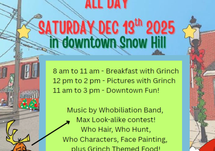 Who-Hill - The Grinch in Snow Hill