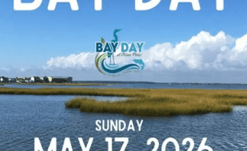 Bay Day! Make a difference in your backyard bays!