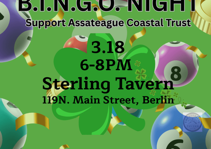 'Shamrock Shuffle' B.I.N.G.O. Night at the Sterling Tavern