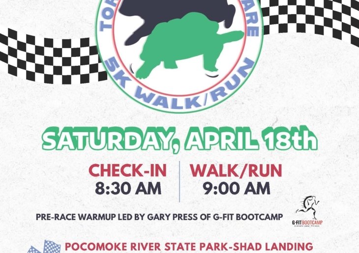Tortoise & Hare Dare 5K Walk/Run