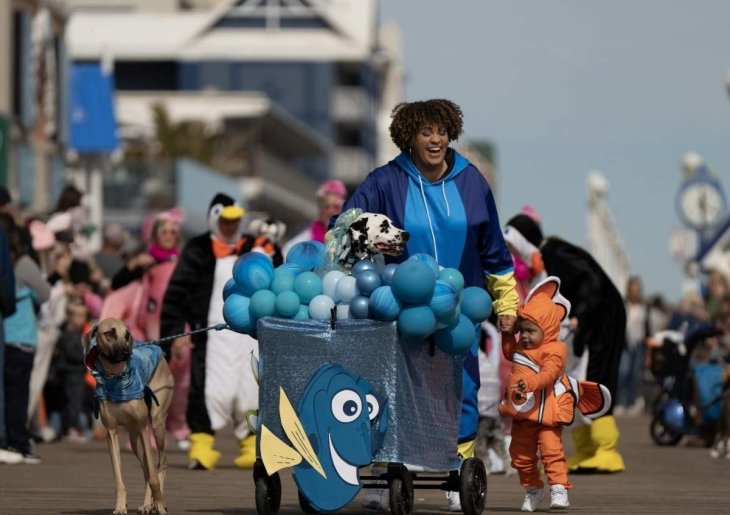 Pets in Disguise: A Sunfest Halloween Pet Celebration