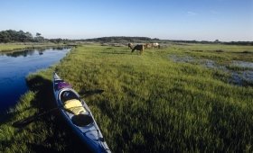 Assateague Island National Seashore
