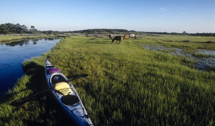 Assateague Island National Seashore