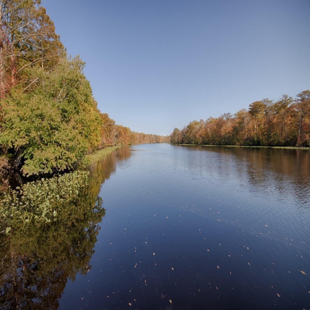 Pocomoke River State Park Milburn Landing OnSite