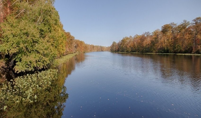 Pocomoke River State Park: Milburn Landing