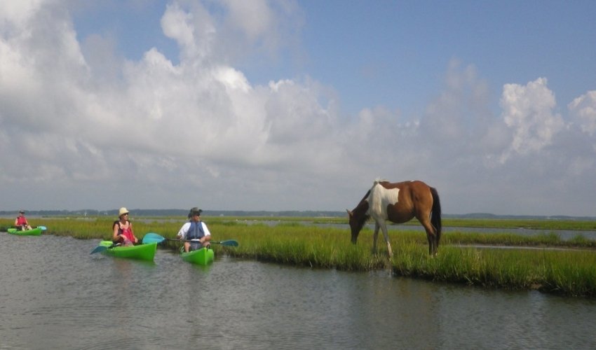 Assateague Outfitters