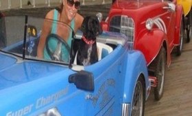 Dandy Don's Bike Rentals & Service