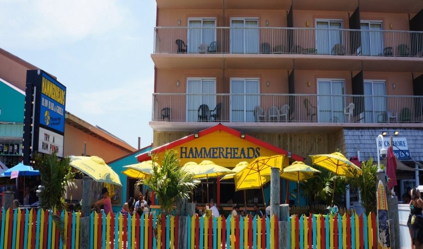 Hammerheads Bar & Grill