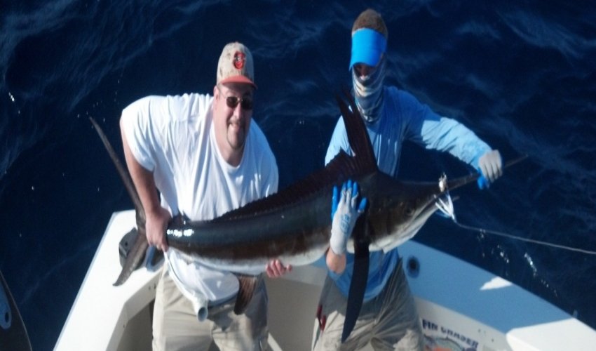 Fin Chaser Sportfishing Charters