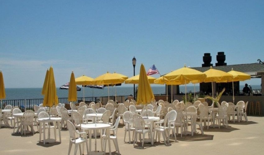 The Jungle Bar & Restaurant