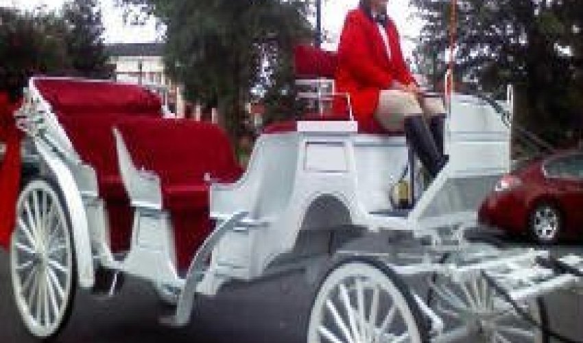 R and B Carriage Rides