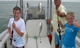 Whatever Guide Service