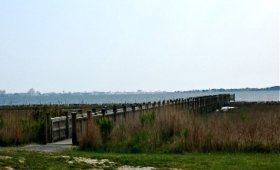 Isle of Wight Park