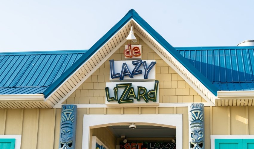 de Lazy Lizard