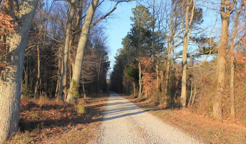 Lower Shore Land Trust