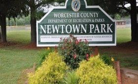 Newtown Park