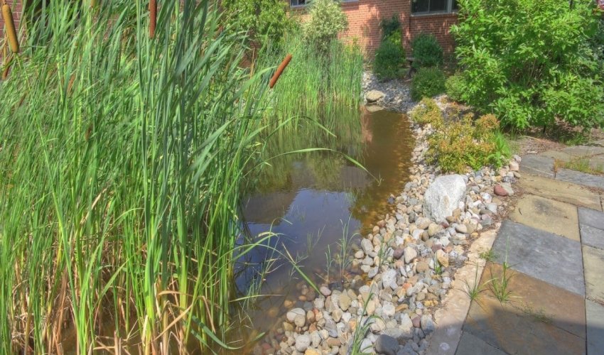 Worcester Preparatory School