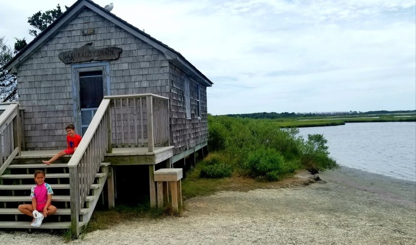 Assateague Island National Seashore - Bayside Drive-in Campground