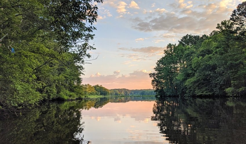 Pocomoke River State Park: Shad Landing