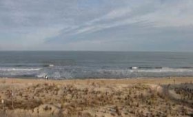 4 Surf Ave