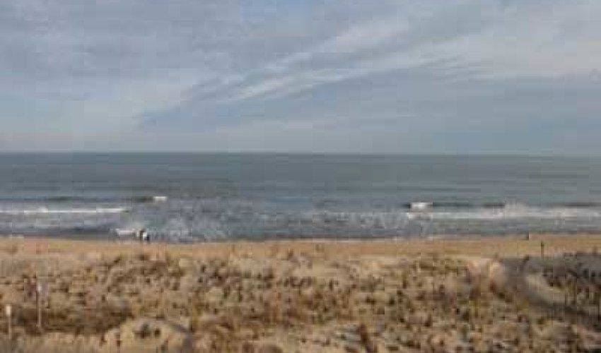 4 Surf Ave